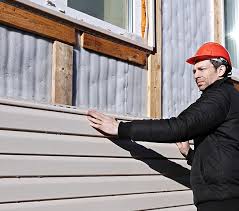 Best Historical Building Siding Restoration  in Mount Prospect, IL